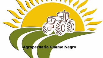 Logo Priv
